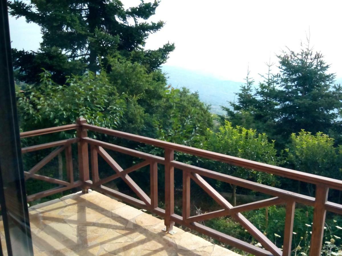 Elatos Cozy Studio Ano Trikala Exterior photo