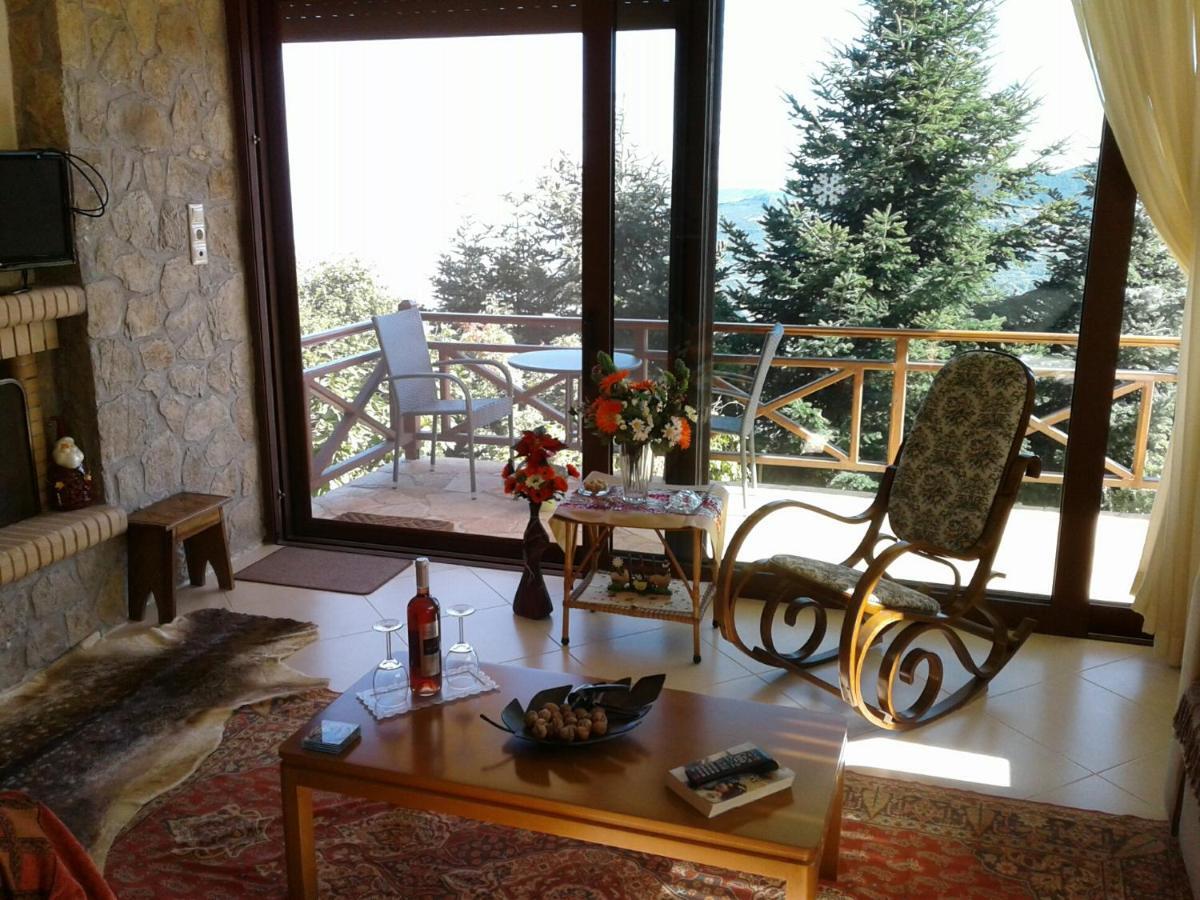 Elatos Cozy Studio Ano Trikala Exterior photo
