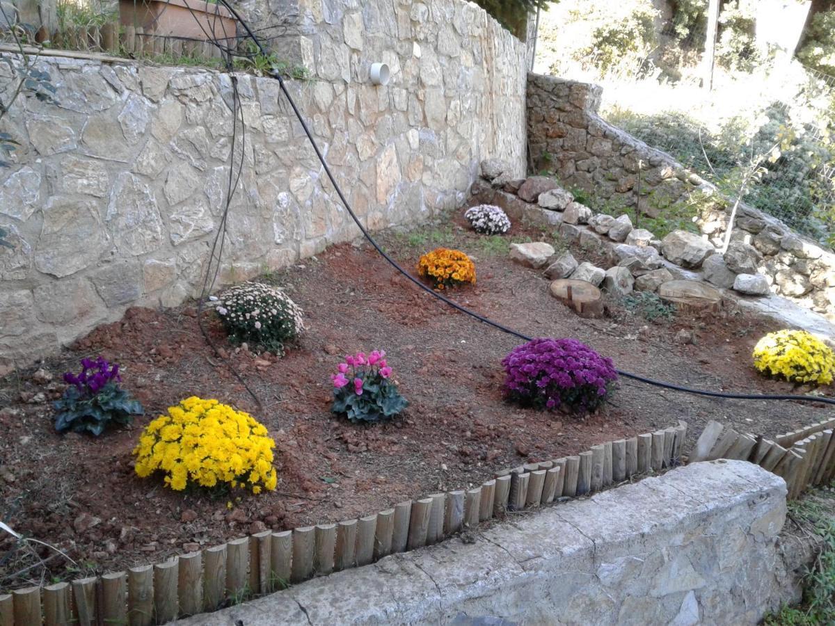 Elatos Cozy Studio Ano Trikala Exterior photo